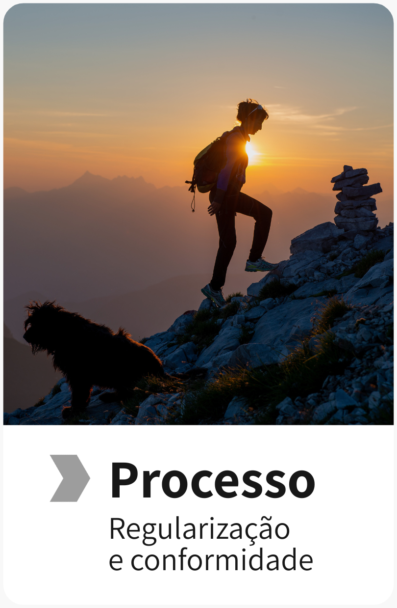 regularização de empresas